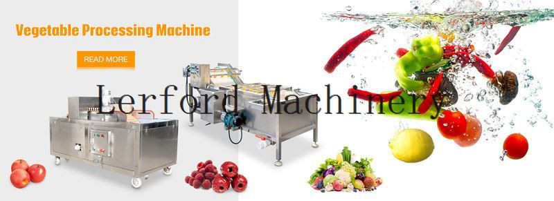 Longan Pitting Machine