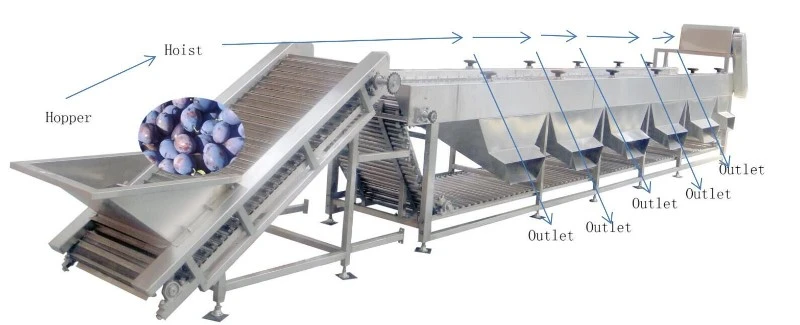 automatic apple grading machine automatic apple grading machine