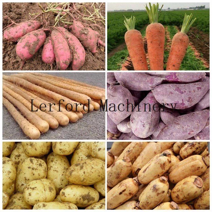 vegetable washing machine