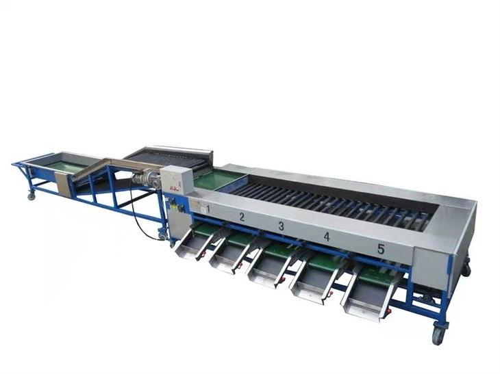 Automatic Apple Grading Machine