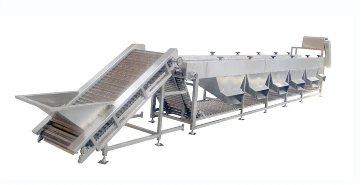 Automatic Apple Grading Machine