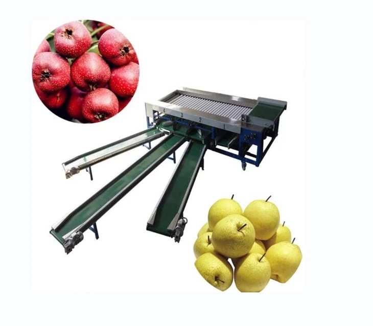 Automatic Apple Grading Machine